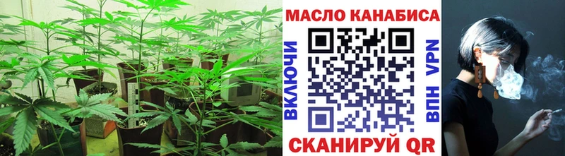 ТГК гашишное масло  Купить закладки  Клин 