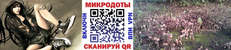 Галлюциногенные грибы мухоморы  Купить закладки  Клин 